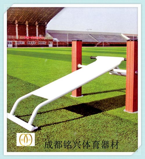 室内健身器材 德阳的健身新风尚